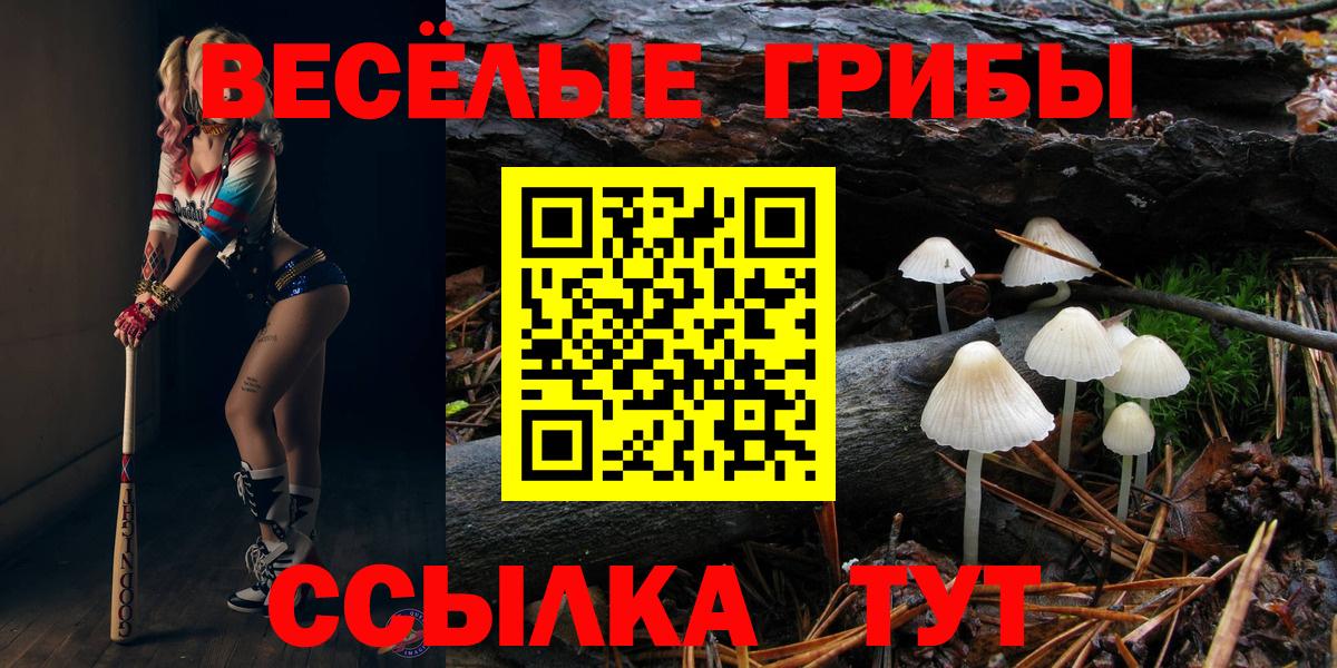 Галлюциногенные грибы Psilocybine cubensis Лениногорск