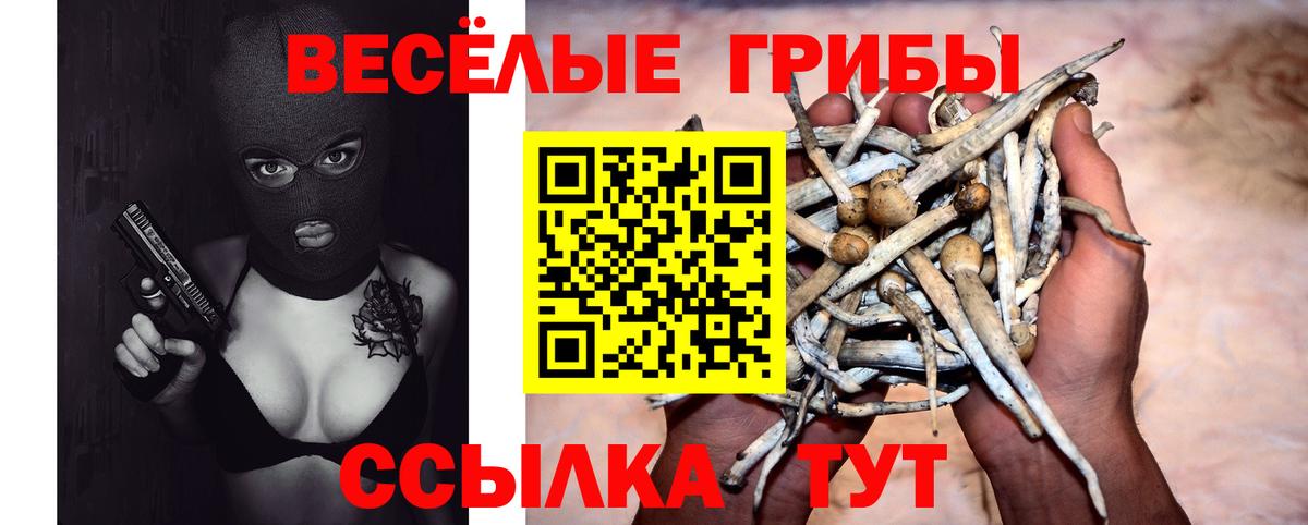 Лениногорск  Галлюциногенные грибы мухоморы  Вход с VPN 